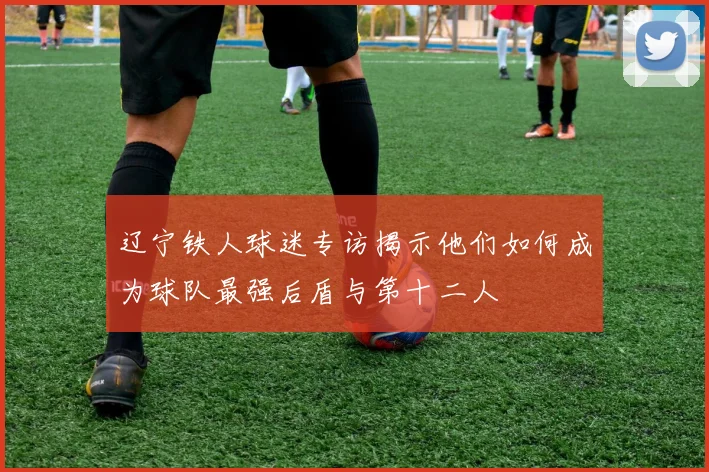 辽宁铁人球迷专访揭示他们如何成为球队最强后盾与第十二人